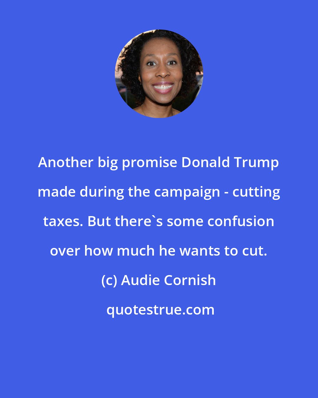 Audie Cornish: Another big promise Donald Trump made during the campaign - cutting taxes. But there's some confusion over how much he wants to cut.