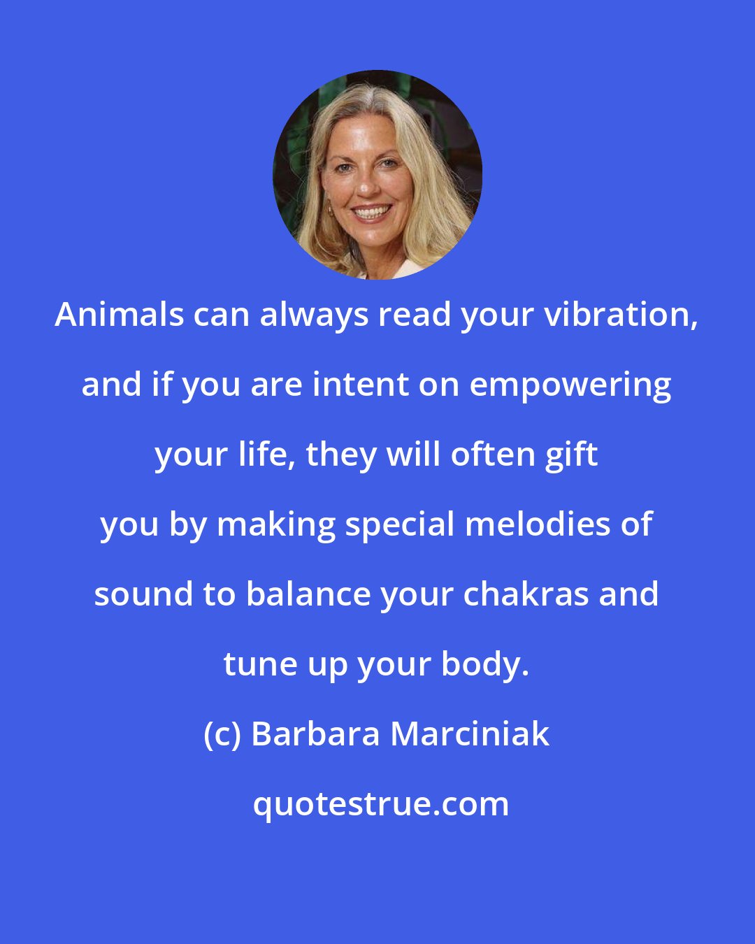 Barbara Marciniak: Animals can always read your vibration, and if you are intent on empowering your life, they will often gift you by making special melodies of sound to balance your chakras and tune up your body.