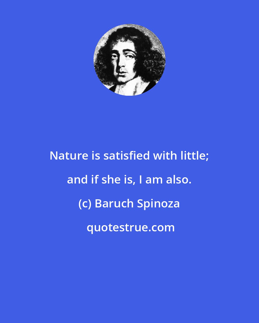 Baruch Spinoza: Nature is satisfied with little; and if she is, I am also.