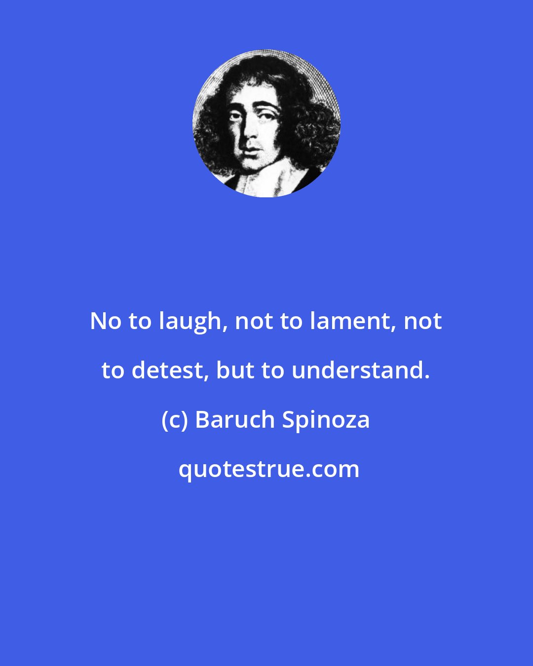 Baruch Spinoza: No to laugh, not to lament, not to detest, but to understand.