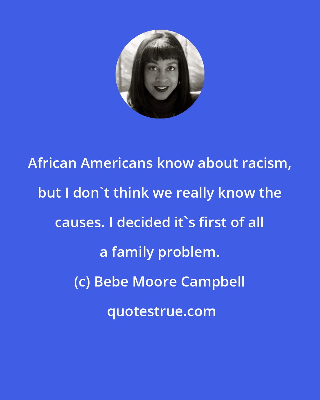 Bebe Moore Campbell: African Americans know about racism, but I don't think we really know the causes. I decided it's first of all a family problem.