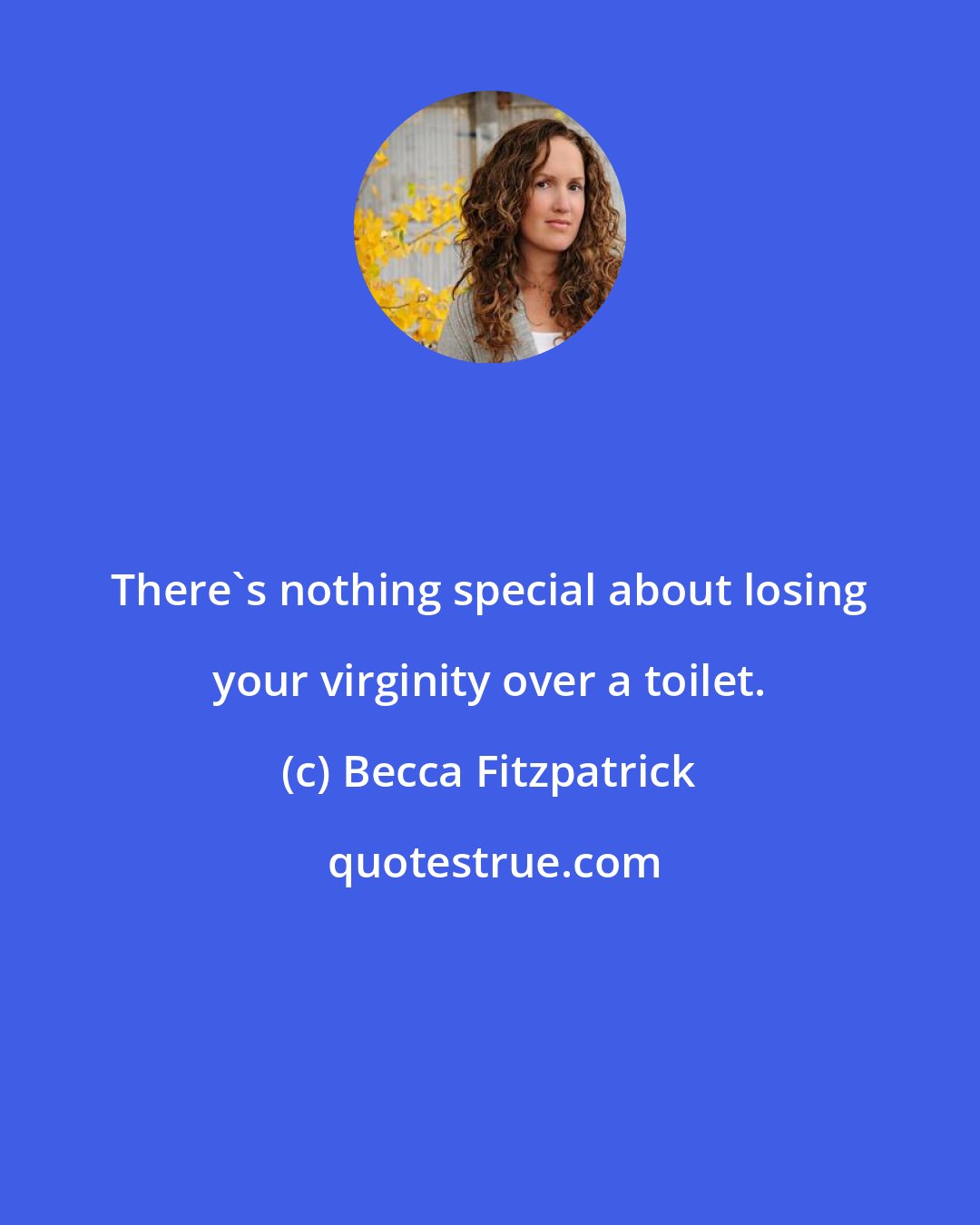 Becca Fitzpatrick: There's nothing special about losing your virginity over a toilet.
