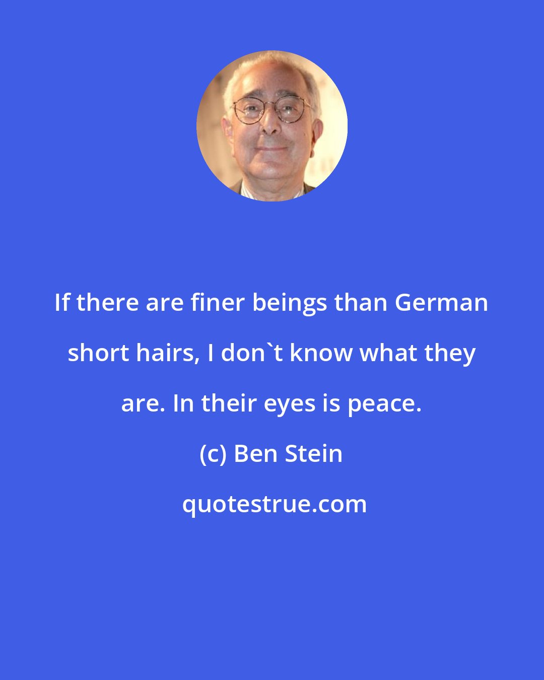 Ben Stein: If there are finer beings than German short hairs, I don't know what they are. In their eyes is peace.