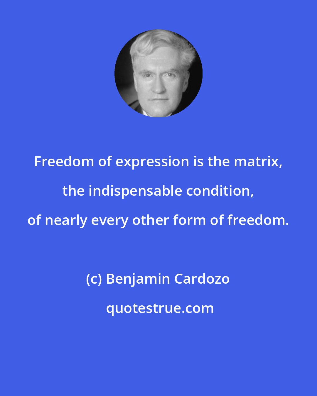 Benjamin Cardozo: Freedom of expression is the matrix, the indispensable condition, of nearly every other form of freedom.