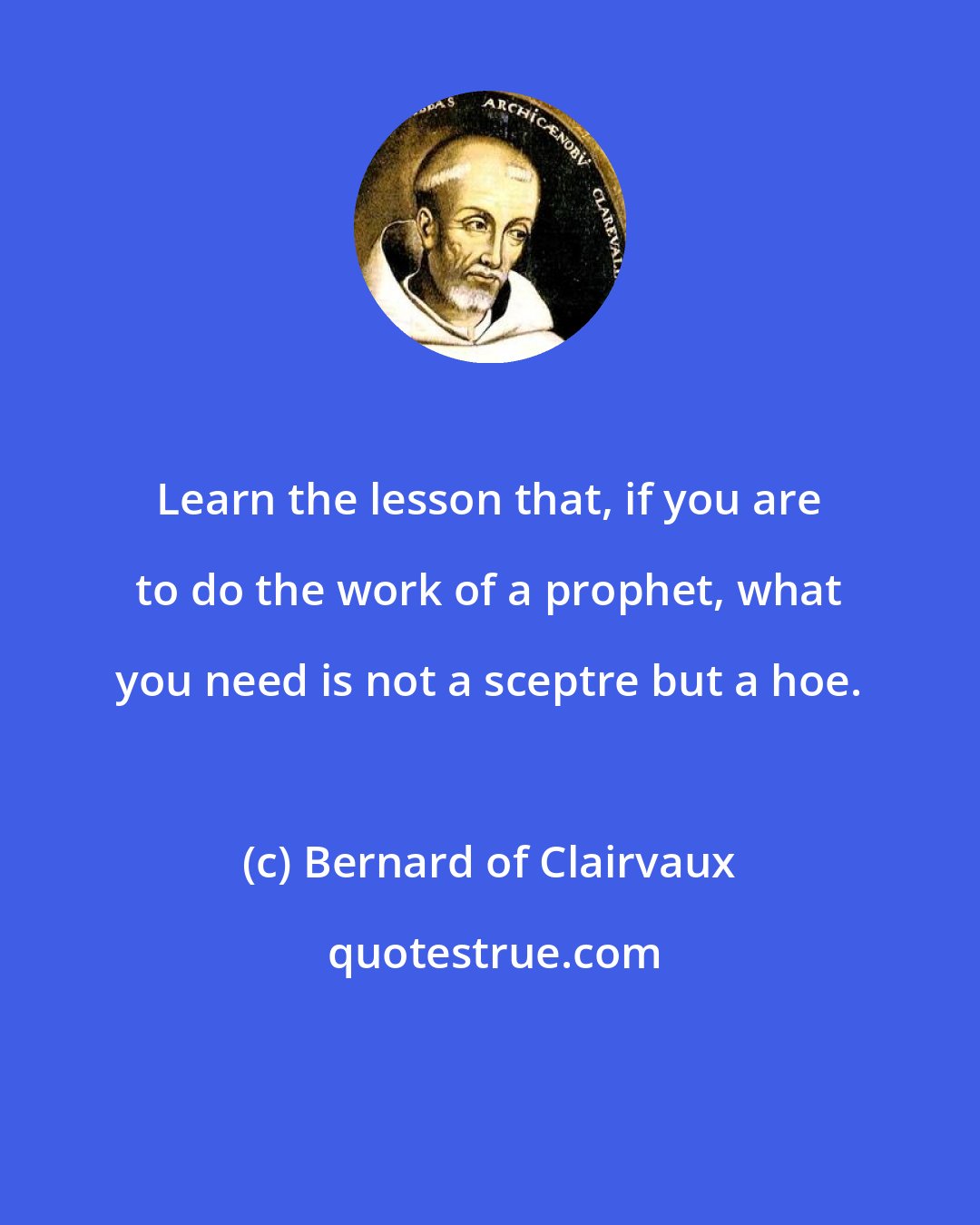 Bernard of Clairvaux: Learn the lesson that, if you are to do the work of a prophet, what you need is not a sceptre but a hoe.