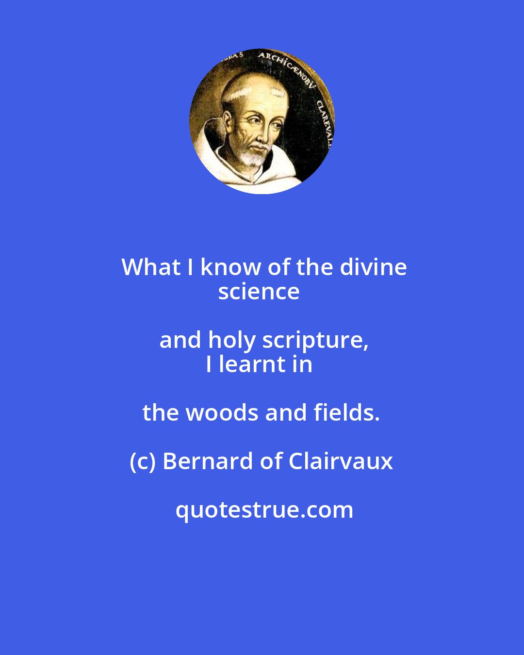 Bernard of Clairvaux: What I know of the divine
science and holy scripture,
I learnt in the woods and fields.