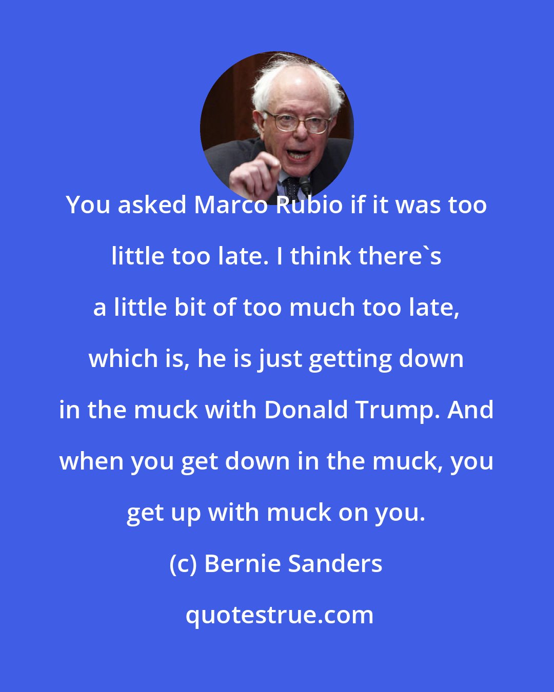 Bernie Sanders: You asked Marco Rubio if it was too little too late. I think there's a little bit of too much too late, which is, he is just getting down in the muck with Donald Trump. And when you get down in the muck, you get up with muck on you.