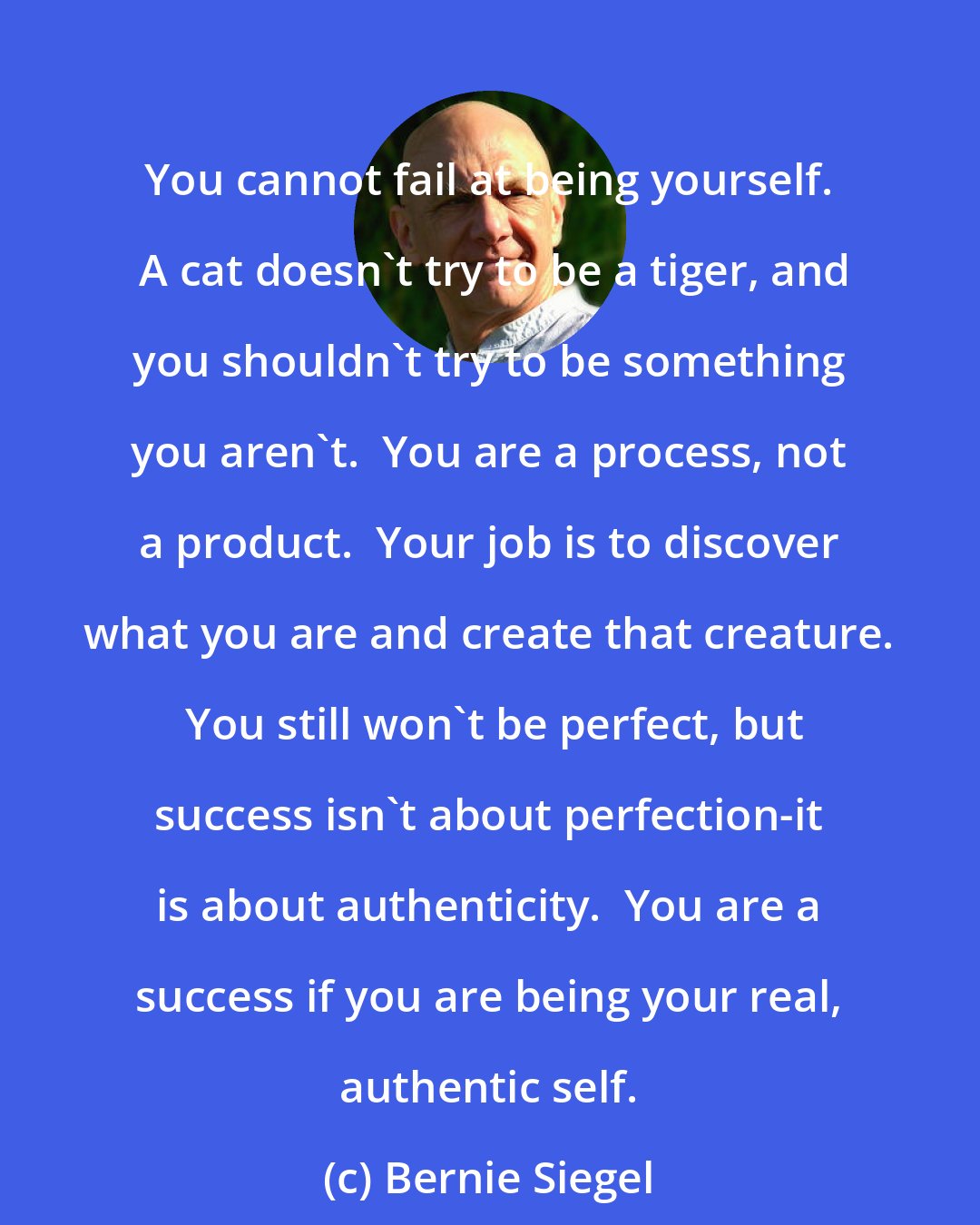 Bernie Siegel: You cannot fail at being yourself.  A cat doesn't try to be a tiger, and you shouldn't try to be something you aren't.  You are a process, not a product.  Your job is to discover what you are and create that creature.  You still won't be perfect, but success isn't about perfection-it is about authenticity.  You are a success if you are being your real, authentic self.