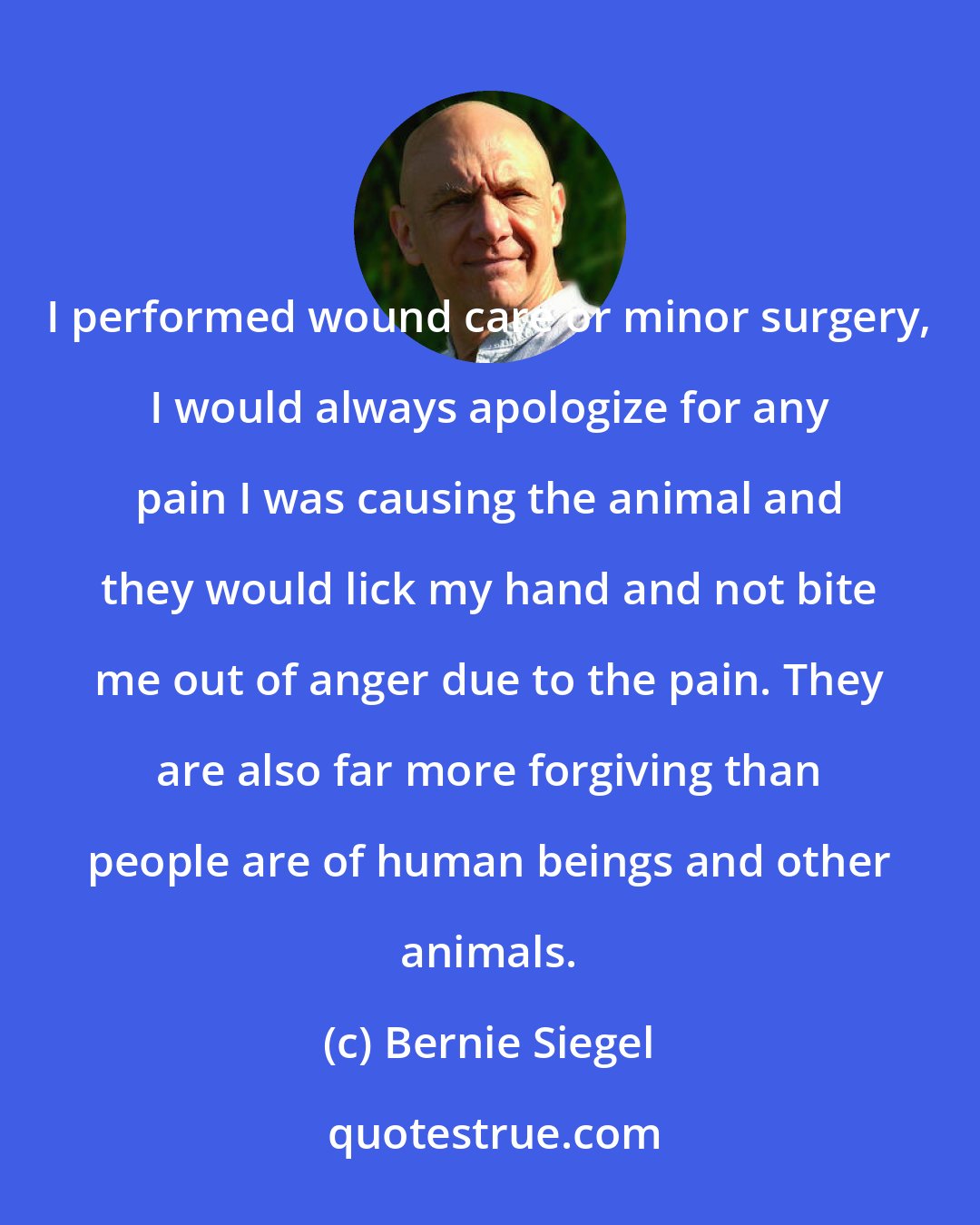 Bernie Siegel: I performed wound care or minor surgery, I would always apologize for any pain I was causing the animal and they would lick my hand and not bite me out of anger due to the pain. They are also far more forgiving than people are of human beings and other animals.