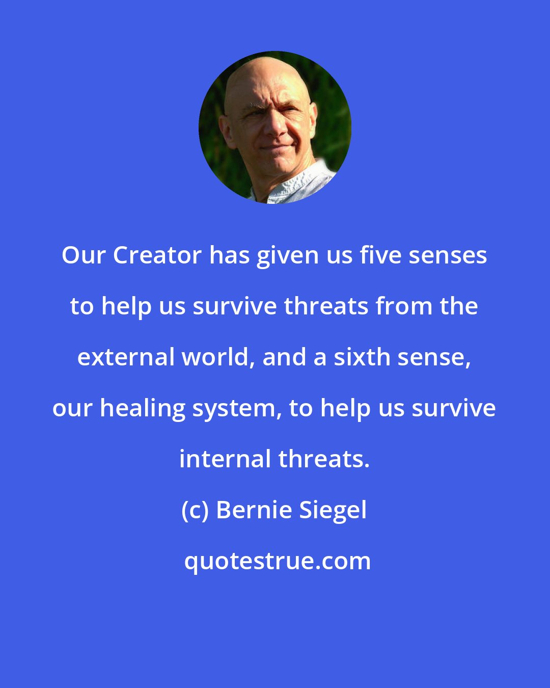 Bernie Siegel: Our Creator has given us five senses to help us survive threats from the external world, and a sixth sense, our healing system, to help us survive internal threats.