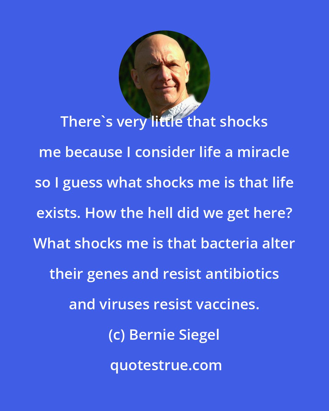 Bernie Siegel: There's very little that shocks me because I consider life a miracle so I guess what shocks me is that life exists. How the hell did we get here? What shocks me is that bacteria alter their genes and resist antibiotics and viruses resist vaccines.