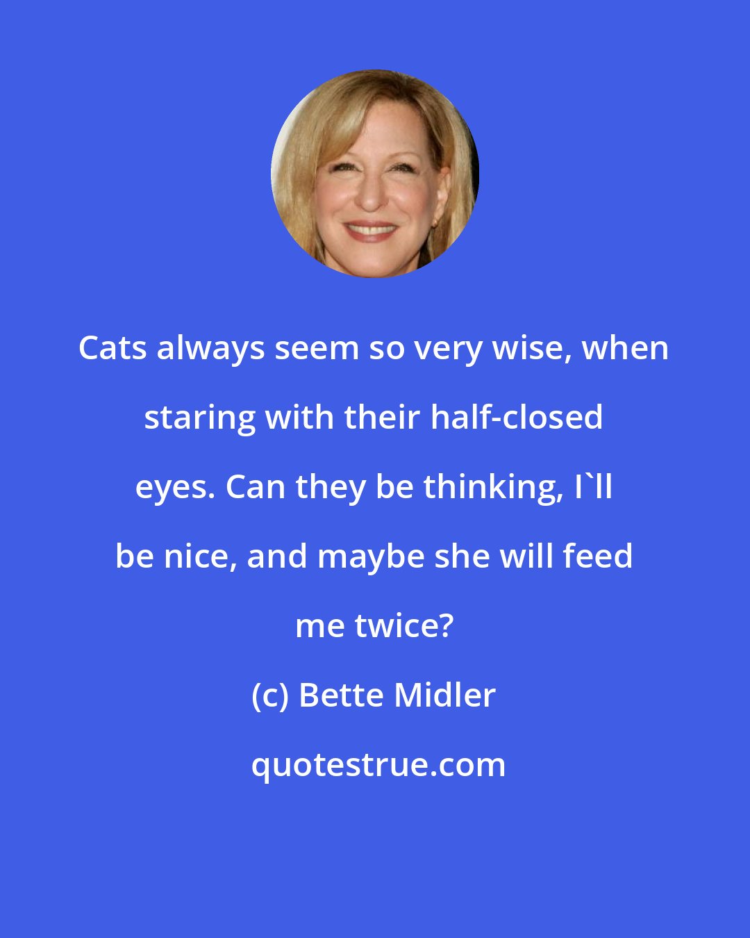 Bette Midler: Cats always seem so very wise, when staring with their half-closed eyes. Can they be thinking, I'll be nice, and maybe she will feed me twice?