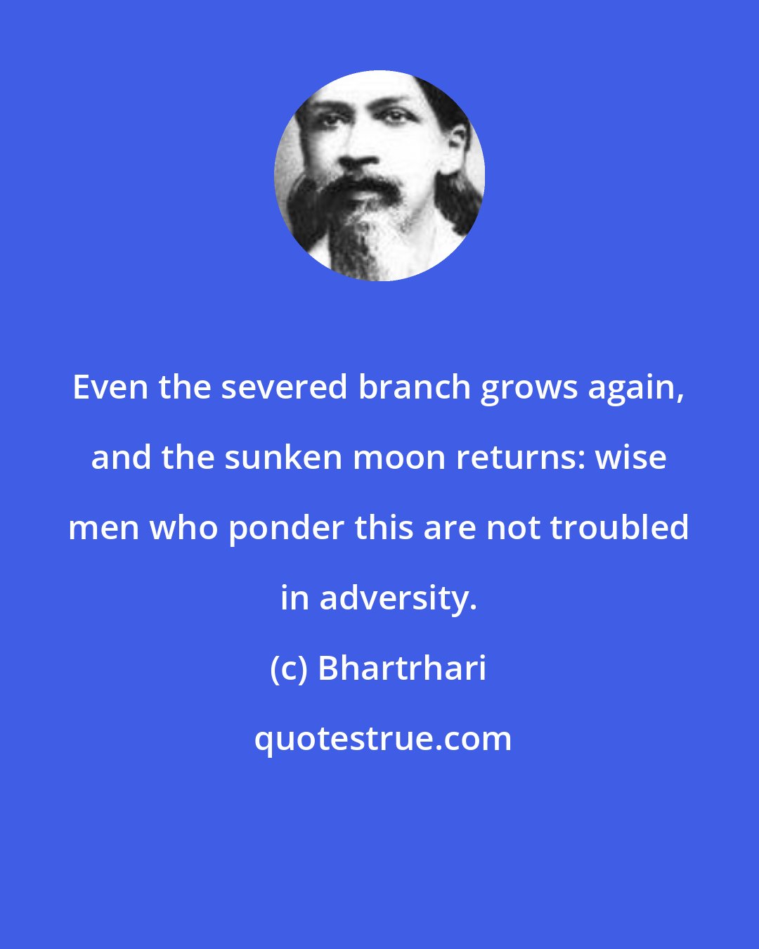 Bhartrhari: Even the severed branch grows again, and the sunken moon returns: wise men who ponder this are not troubled in adversity.