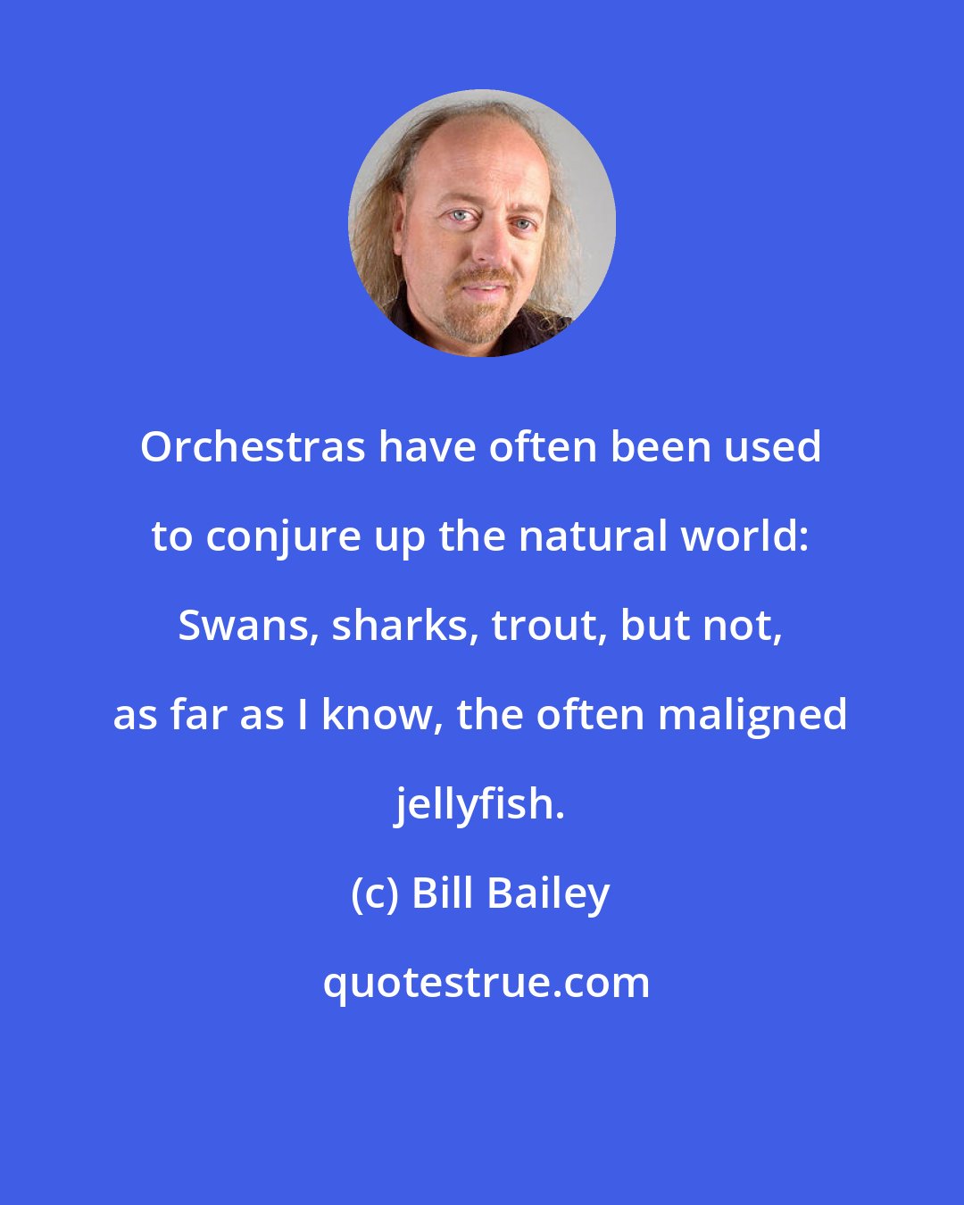 Bill Bailey: Orchestras have often been used to conjure up the natural world: Swans, sharks, trout, but not, as far as I know, the often maligned jellyfish.