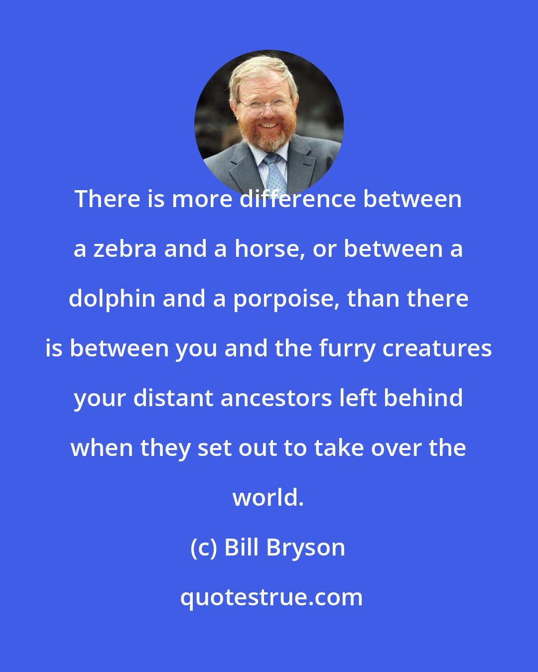 Bill Bryson: There is more difference between a zebra and a horse, or between a dolphin and a porpoise, than there is between you and the furry creatures your distant ancestors left behind when they set out to take over the world.