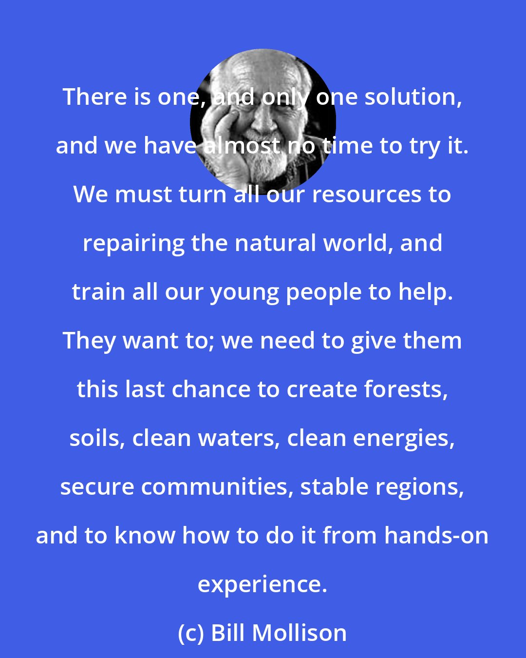 Bill Mollison: There is one, and only one solution, and we have almost no time to try it. We must turn all our resources to repairing the natural world, and train all our young people to help. They want to; we need to give them this last chance to create forests, soils, clean waters, clean energies, secure communities, stable regions, and to know how to do it from hands-on experience.