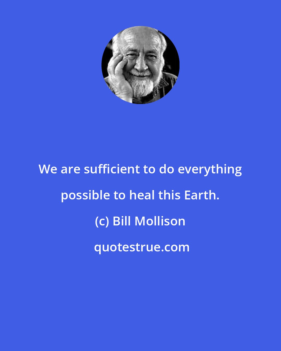 Bill Mollison: We are sufficient to do everything possible to heal this Earth.