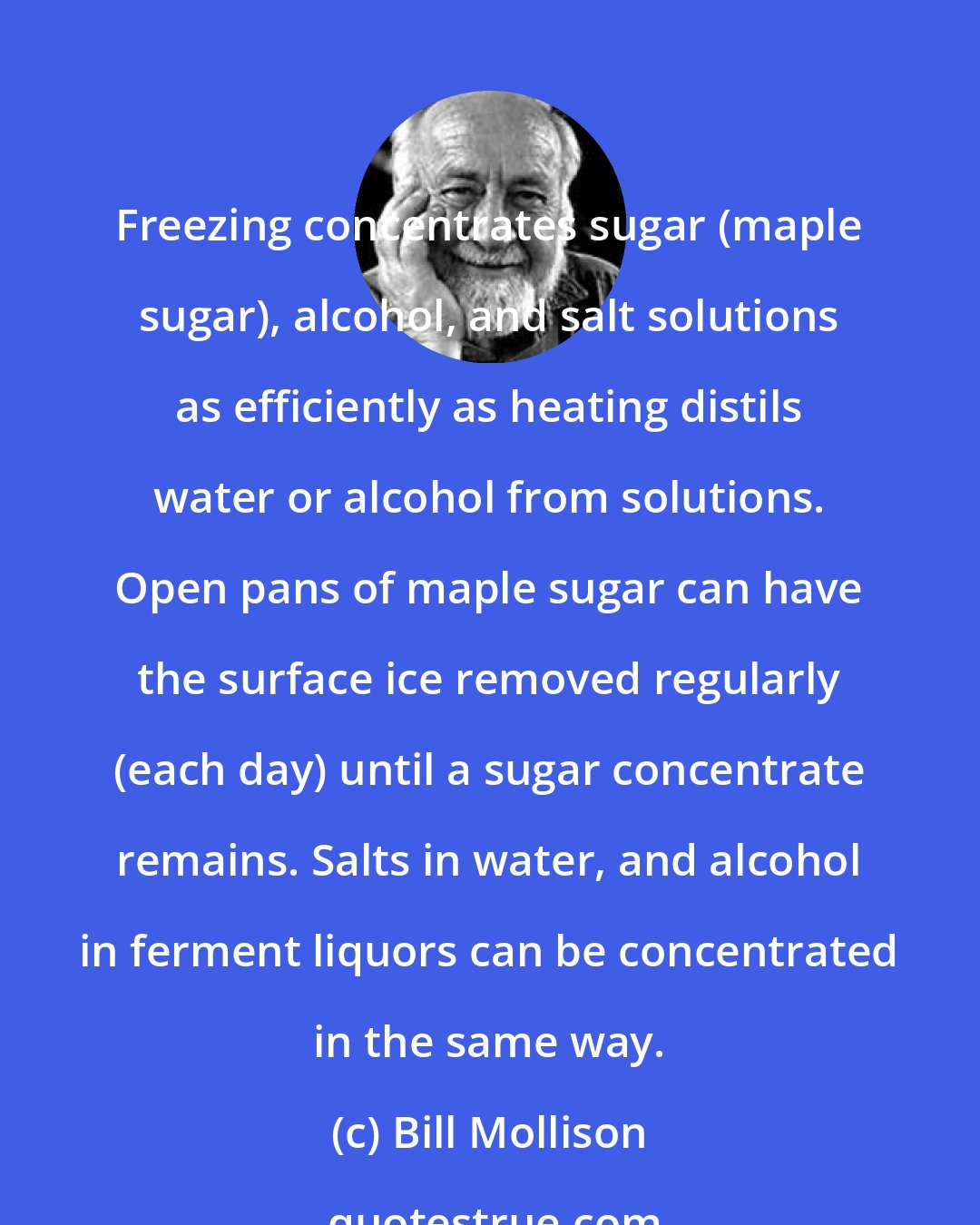 Bill Mollison: Freezing concentrates sugar (maple sugar), alcohol, and salt solutions as efficiently as heating distils water or alcohol from solutions. Open pans of maple sugar can have the surface ice removed regularly (each day) until a sugar concentrate remains. Salts in water, and alcohol in ferment liquors can be concentrated in the same way.