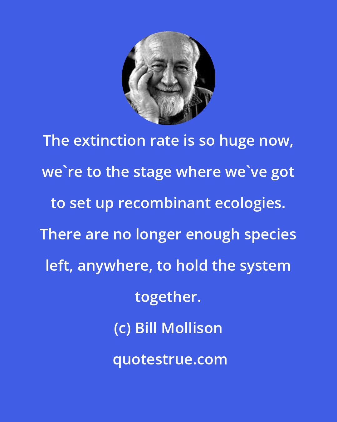 Bill Mollison: The extinction rate is so huge now, we're to the stage where we've got to set up recombinant ecologies. There are no longer enough species left, anywhere, to hold the system together.