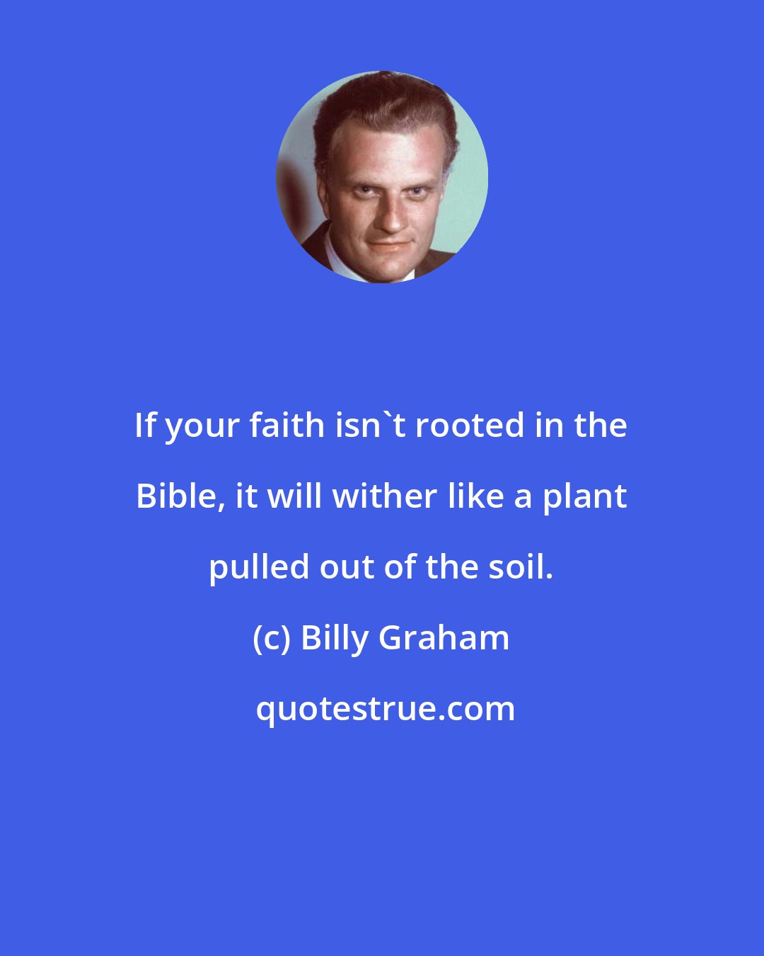 Billy Graham: If your faith isn't rooted in the Bible, it will wither like a plant pulled out of the soil.