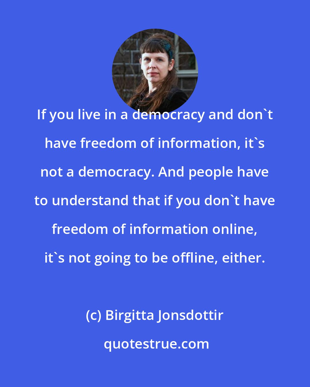 Birgitta Jonsdottir: If you live in a democracy and don't have freedom of information, it's not a democracy. And people have to understand that if you don't have freedom of information online, it's not going to be offline, either.