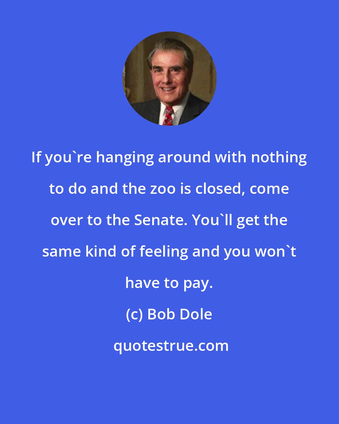 Bob Dole: If you're hanging around with nothing to do and the zoo is closed, come over to the Senate. You'll get the same kind of feeling and you won't have to pay.