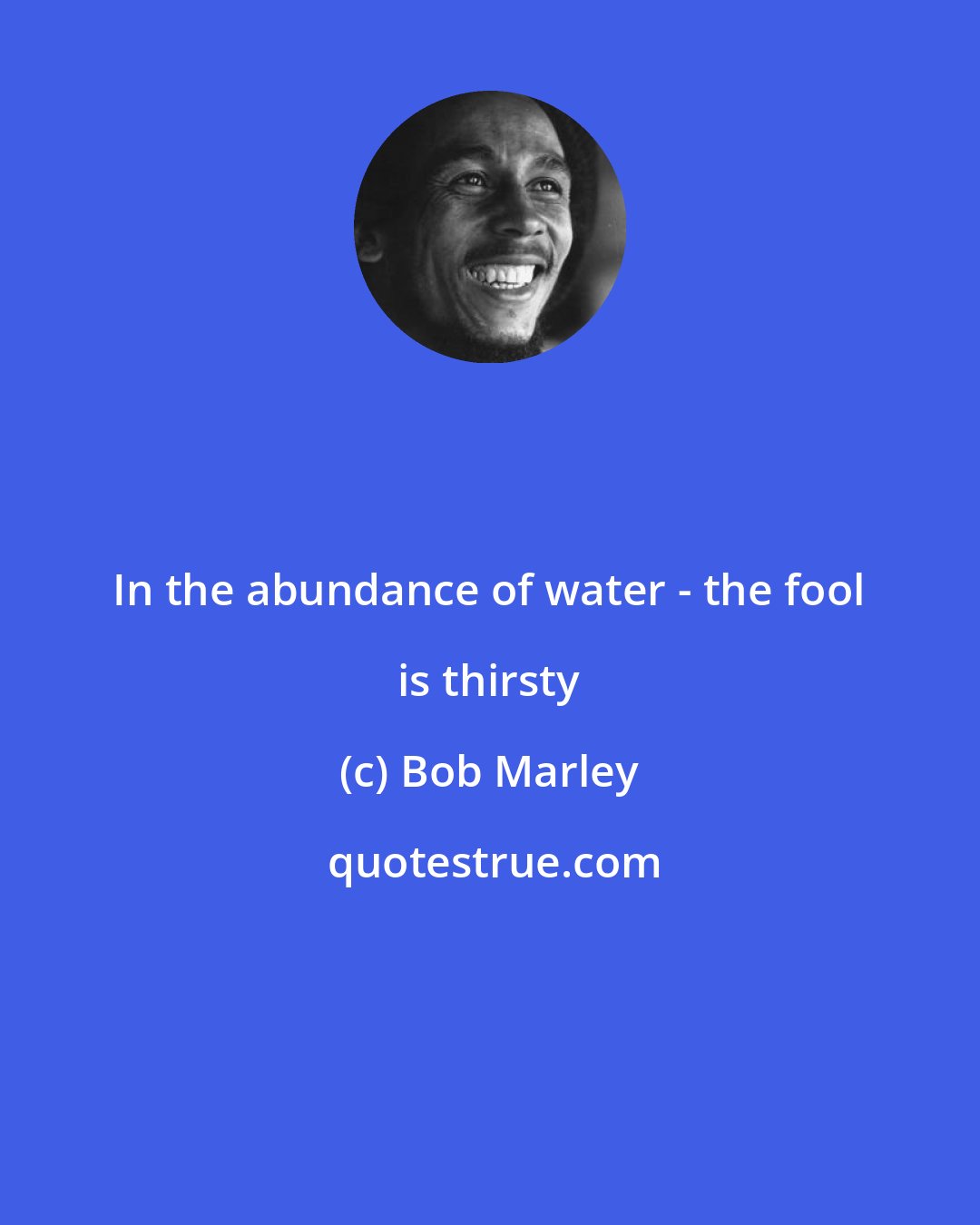 Bob Marley: In the abundance of water - the fool is thirsty