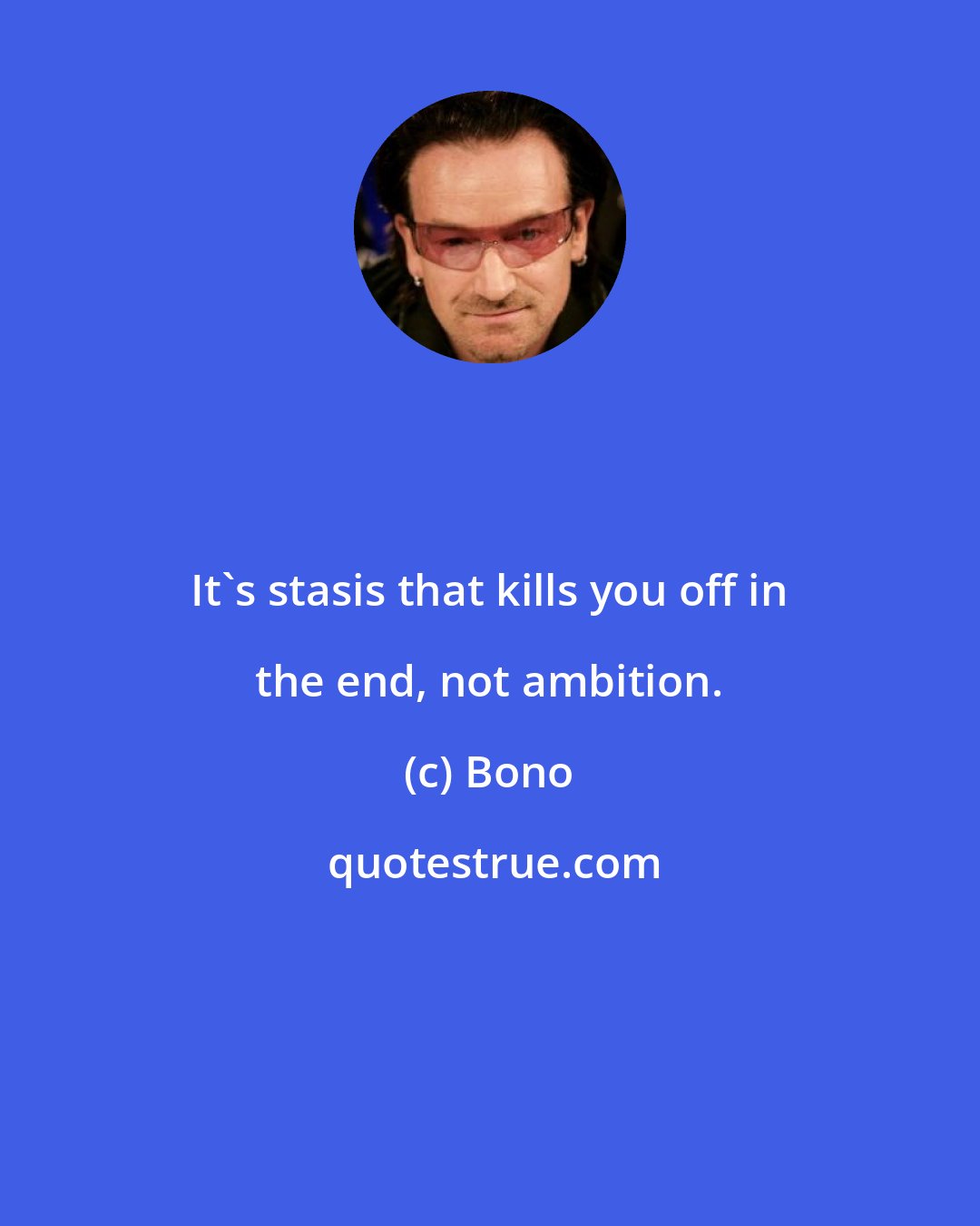 Bono: It's stasis that kills you off in the end, not ambition.