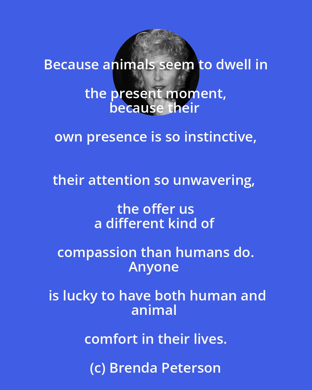 Brenda Peterson: Because animals seem to dwell in the present moment, 
because their own presence is so instinctive, 
their attention so unwavering, the offer us 
a different kind of compassion than humans do. 
Anyone is lucky to have both human and
animal comfort in their lives.