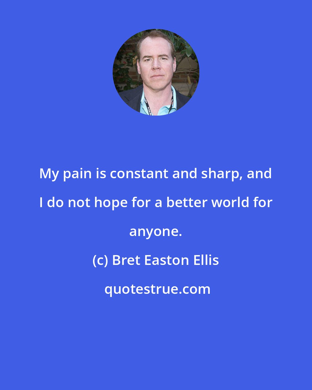 Bret Easton Ellis: My pain is constant and sharp, and I do not hope for a better world for anyone.