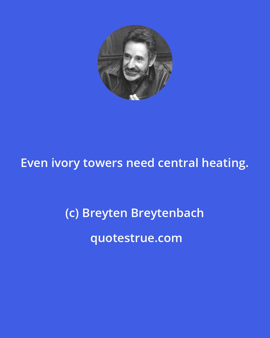 Breyten Breytenbach: Even ivory towers need central heating.