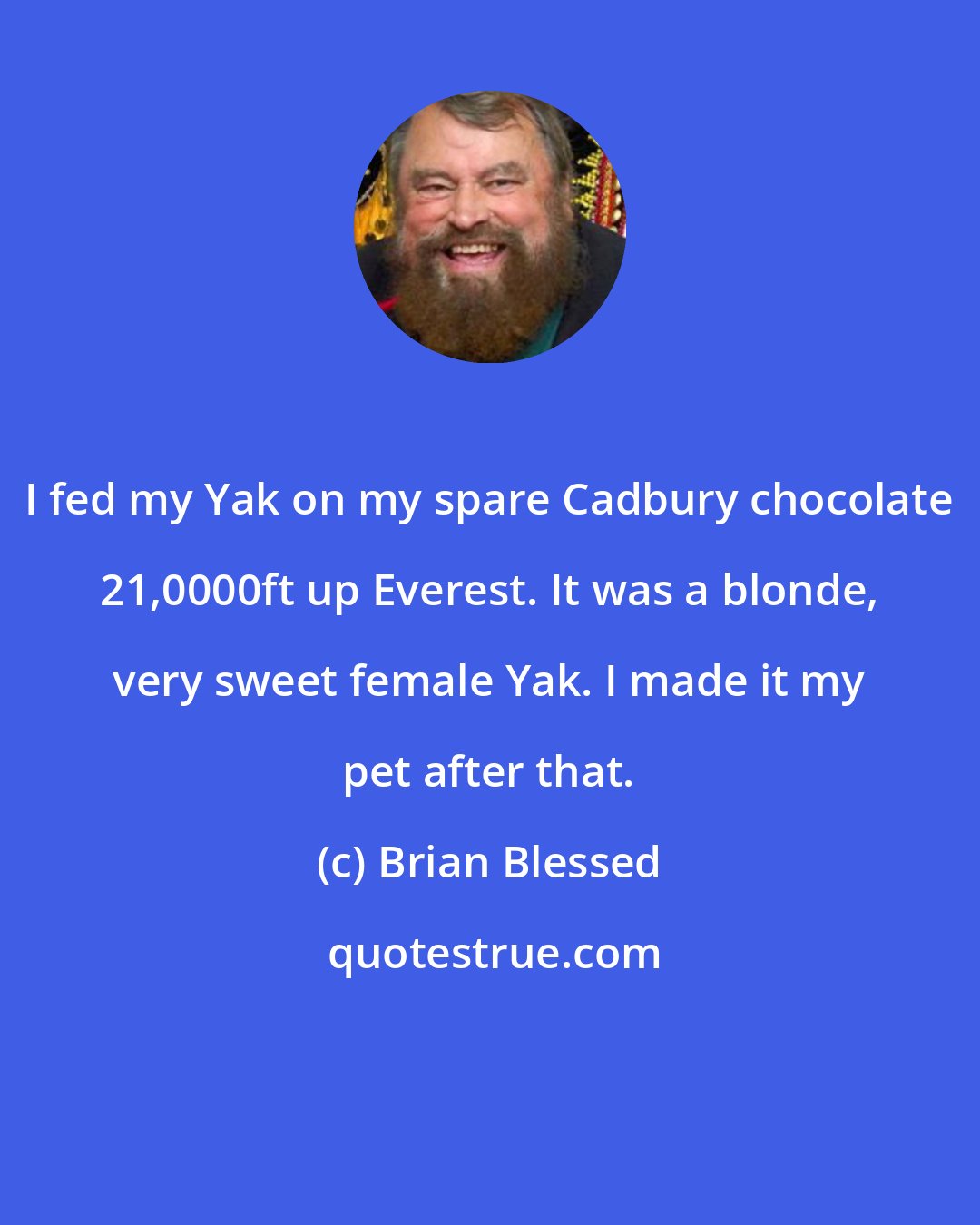 Brian Blessed: I fed my Yak on my spare Cadbury chocolate 21,0000ft up Everest. It was a blonde, very sweet female Yak. I made it my pet after that.