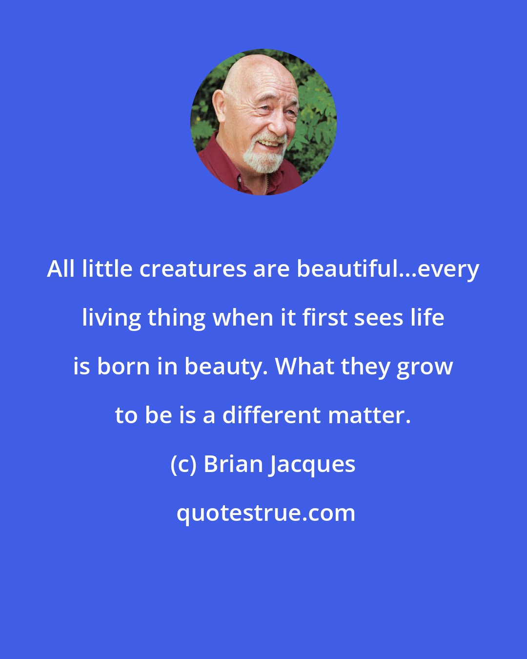 Brian Jacques: All little creatures are beautiful...every living thing when it first sees life is born in beauty. What they grow to be is a different matter.