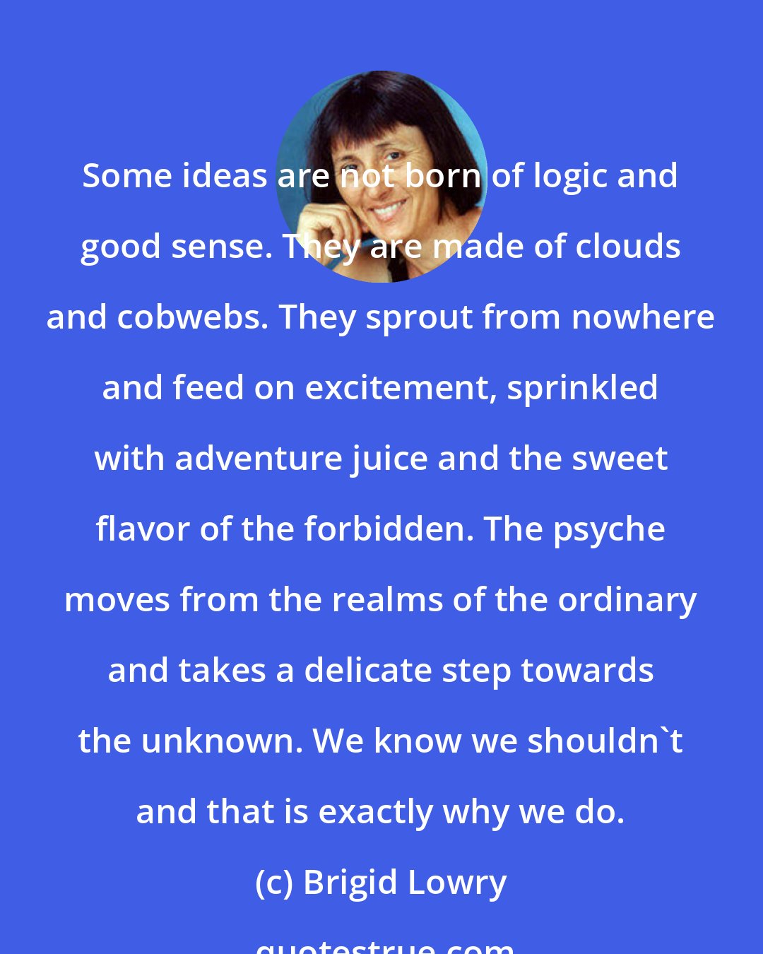 Brigid Lowry: Some ideas are not born of logic and good sense. They are made of clouds and cobwebs. They sprout from nowhere and feed on excitement, sprinkled with adventure juice and the sweet flavor of the forbidden. The psyche moves from the realms of the ordinary and takes a delicate step towards the unknown. We know we shouldn't and that is exactly why we do.