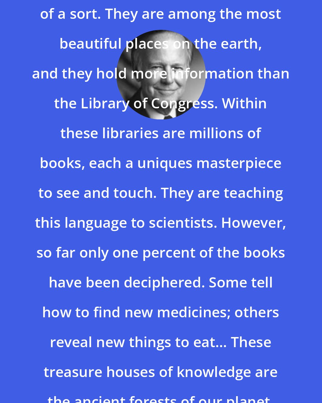 Brock Adams: All over the world, there are libraries of a sort. They are among the most beautiful places on the earth, and they hold more information than the Library of Congress. Within these libraries are millions of books, each a uniques masterpiece to see and touch. They are teaching this language to scientists. However, so far only one percent of the books have been deciphered. Some tell how to find new medicines; others reveal new things to eat... These treasure houses of knowledge are the ancient forests of our planet.