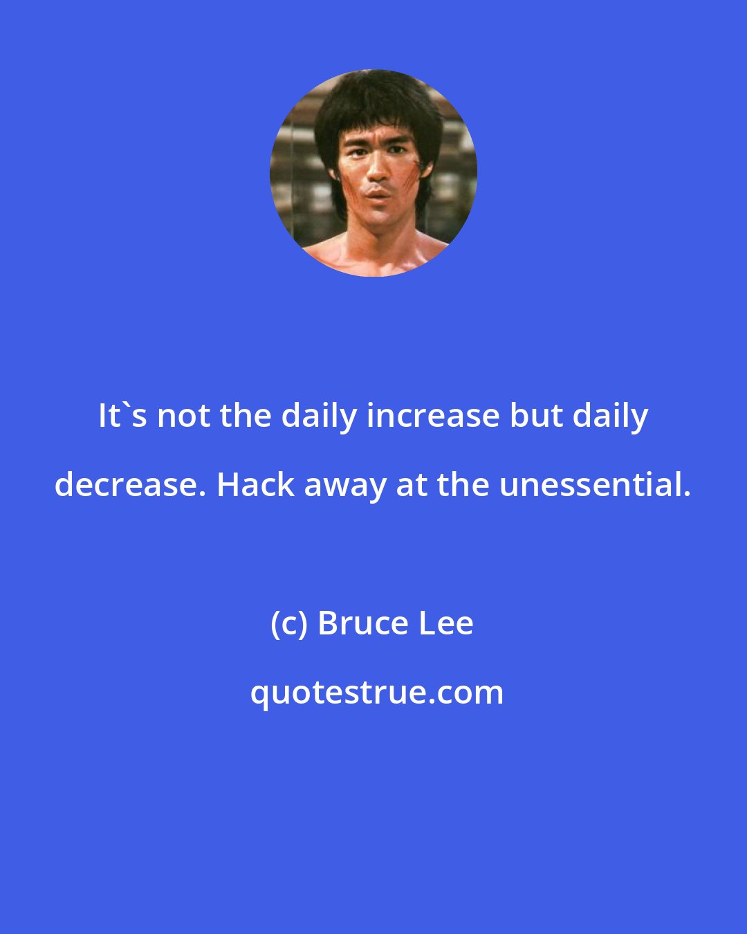 Bruce Lee: It's not the daily increase but daily decrease. Hack away at the unessential.