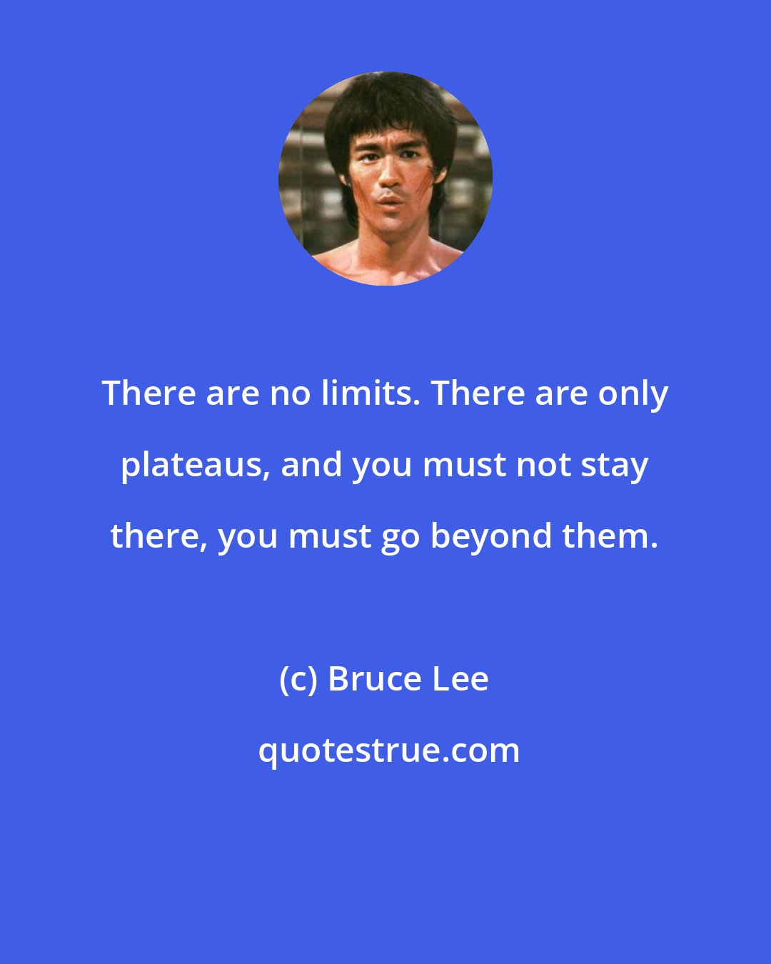Bruce Lee: There are no limits. There are only plateaus, and you must not stay there, you must go beyond them.
