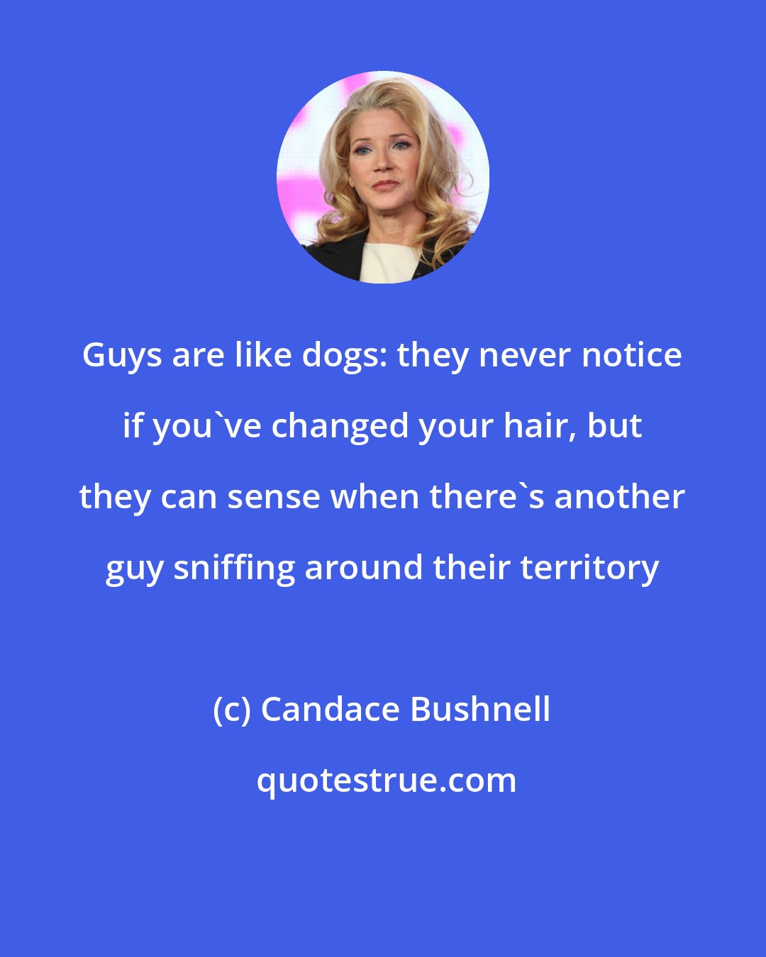 Candace Bushnell: Guys are like dogs: they never notice if you've changed your hair, but they can sense when there's another guy sniffing around their territory