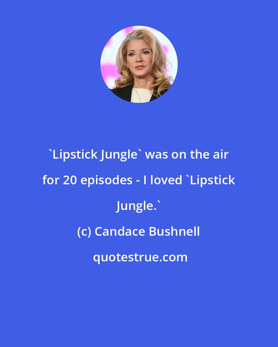 Candace Bushnell: 'Lipstick Jungle' was on the air for 20 episodes - I loved 'Lipstick Jungle.'