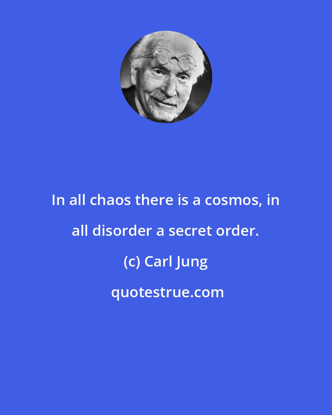 Carl Jung: In all chaos there is a cosmos, in all disorder a secret order.