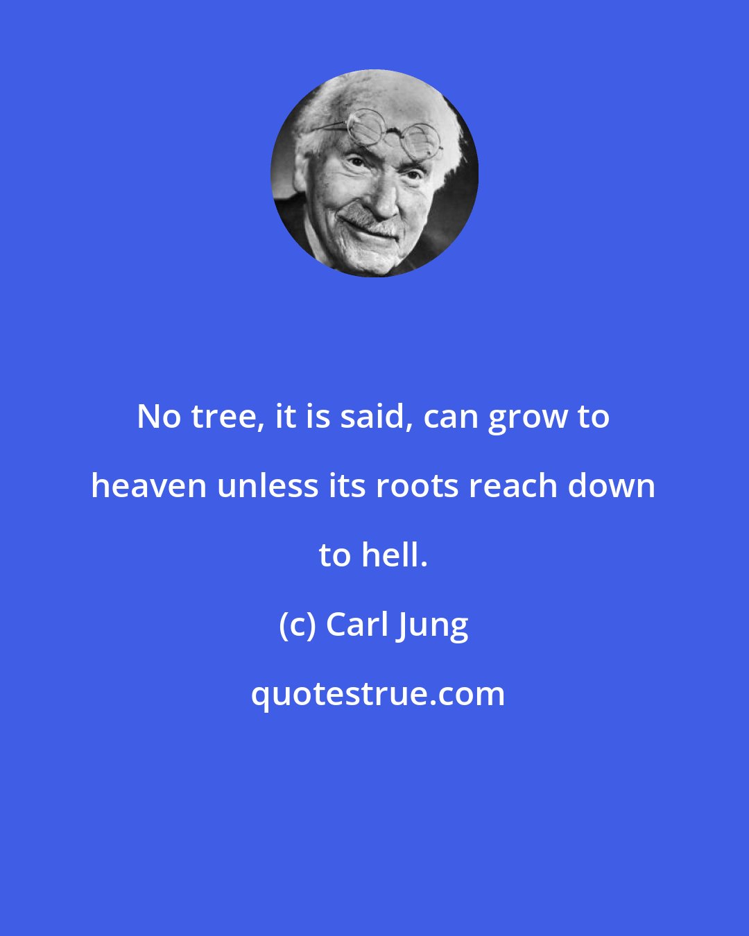 Carl Jung: No tree, it is said, can grow to heaven unless its roots reach down to hell.