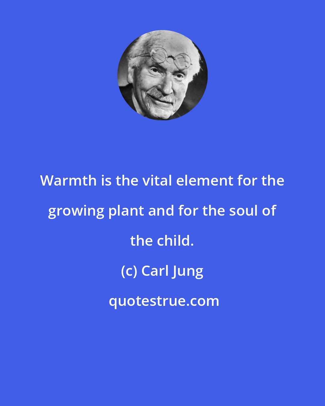 Carl Jung: Warmth is the vital element for the growing plant and for the soul of the child.