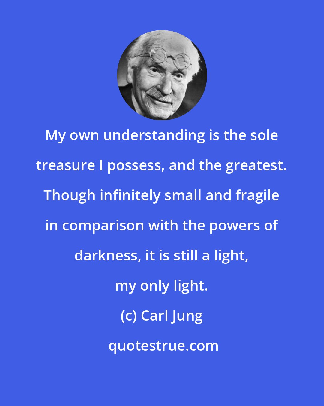 Carl Jung: My own understanding is the sole treasure I possess, and the greatest. Though infinitely small and fragile in comparison with the powers of darkness, it is still a light, my only light.