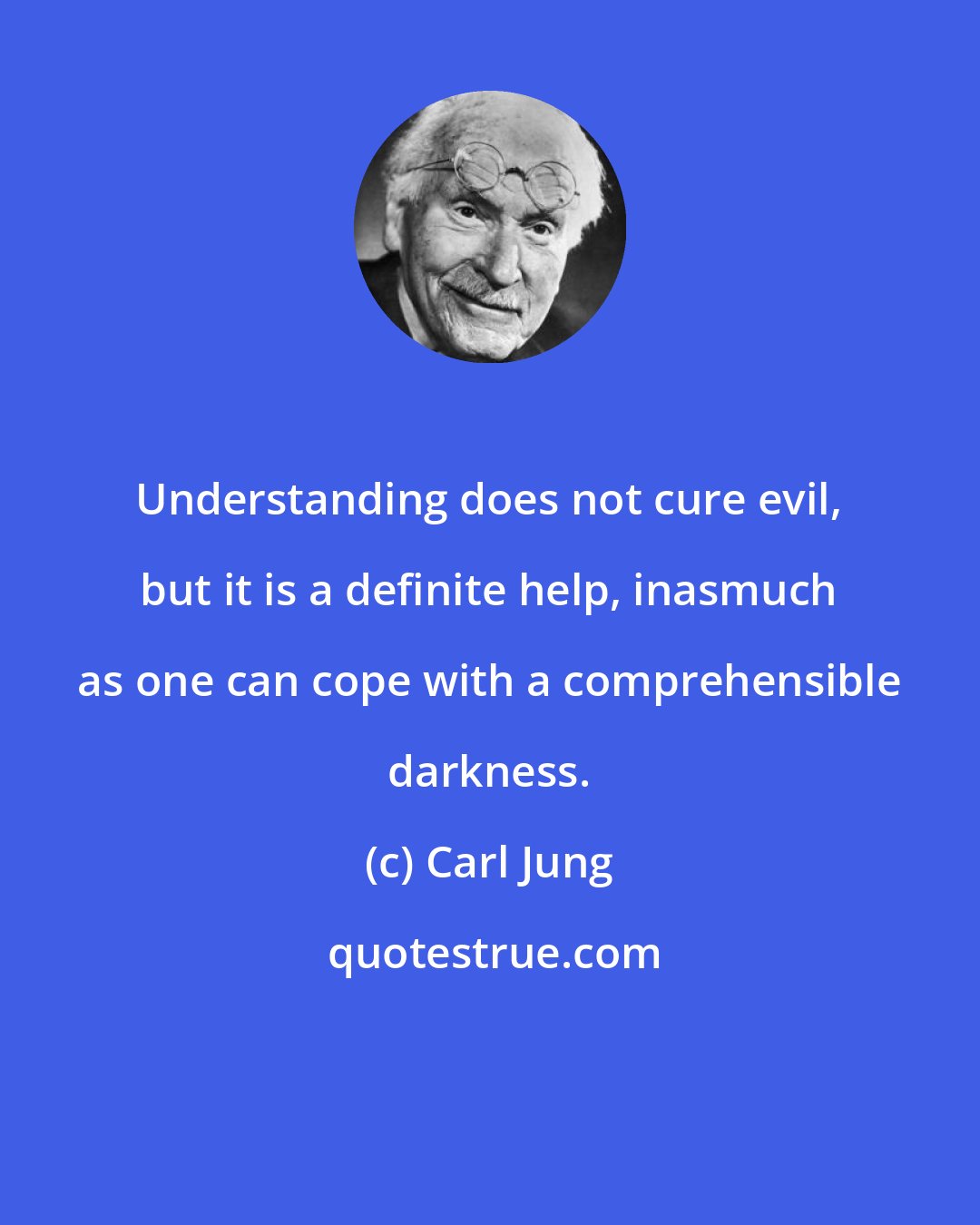 Carl Jung: Understanding does not cure evil, but it is a definite help, inasmuch as one can cope with a comprehensible darkness.