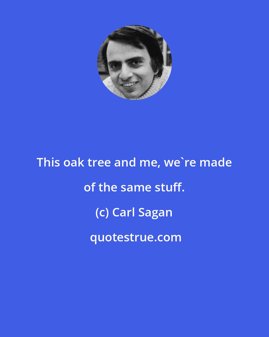 Carl Sagan: This oak tree and me, we're made of the same stuff.