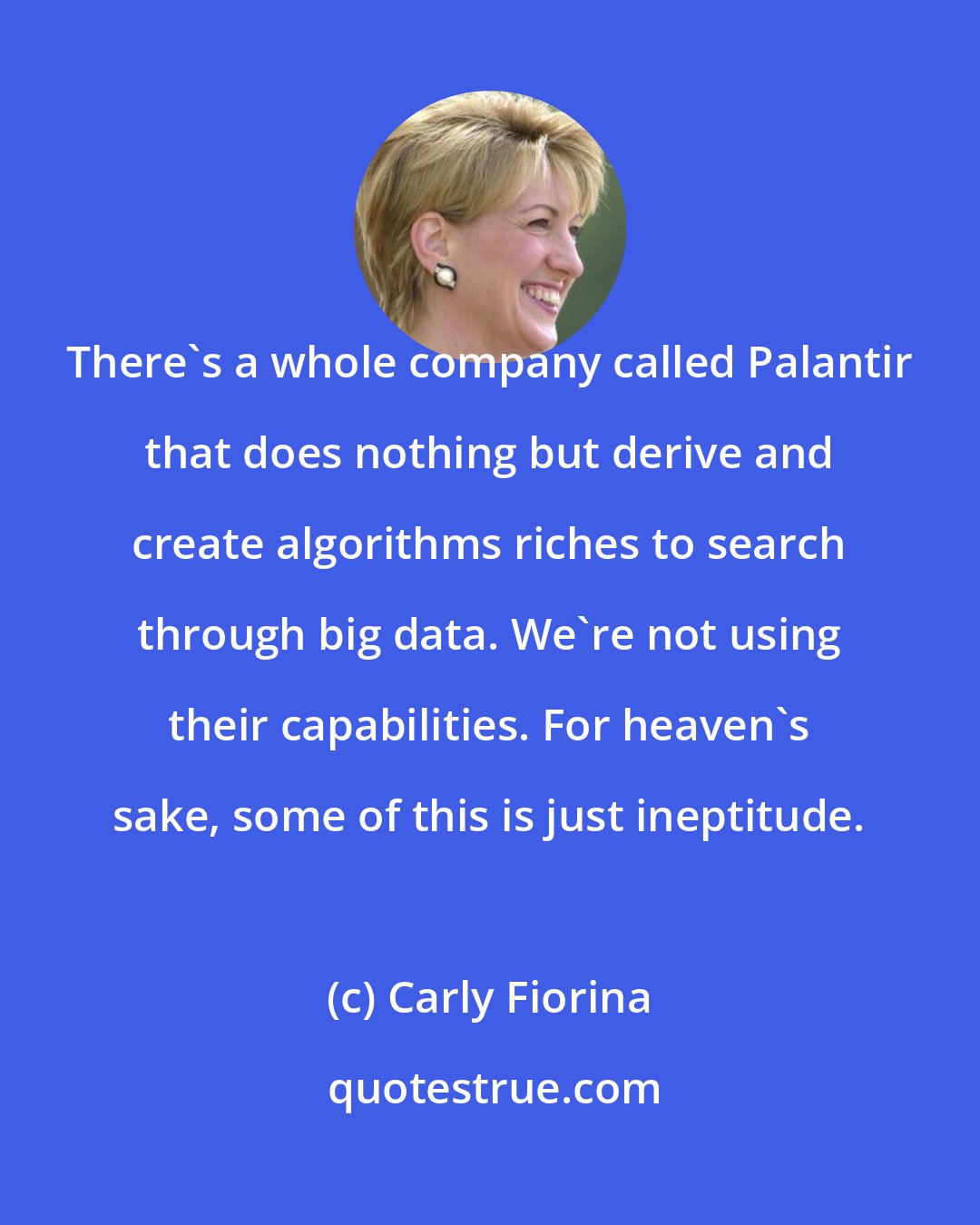 Carly Fiorina: There's a whole company called Palantir that does nothing but derive and create algorithms riches to search through big data. We're not using their capabilities. For heaven's sake, some of this is just ineptitude.