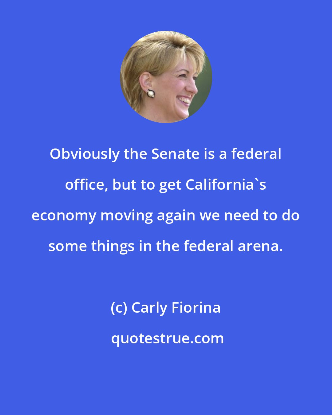 Carly Fiorina: Obviously the Senate is a federal office, but to get California's economy moving again we need to do some things in the federal arena.