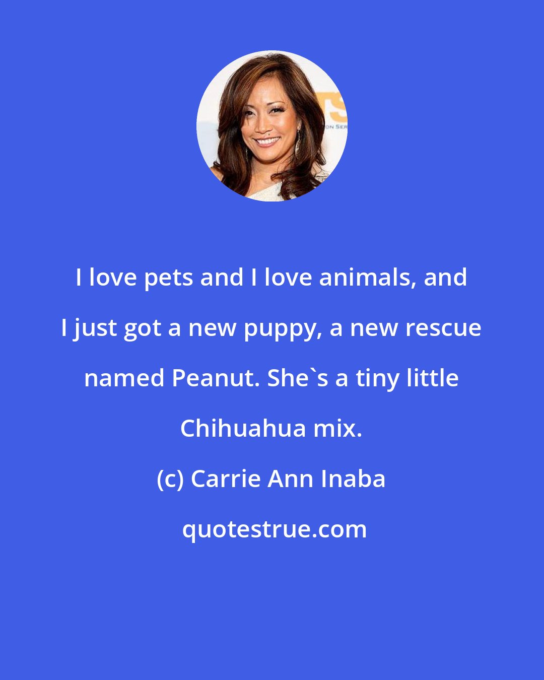 Carrie Ann Inaba: I love pets and I love animals, and I just got a new puppy, a new rescue named Peanut. She's a tiny little Chihuahua mix.