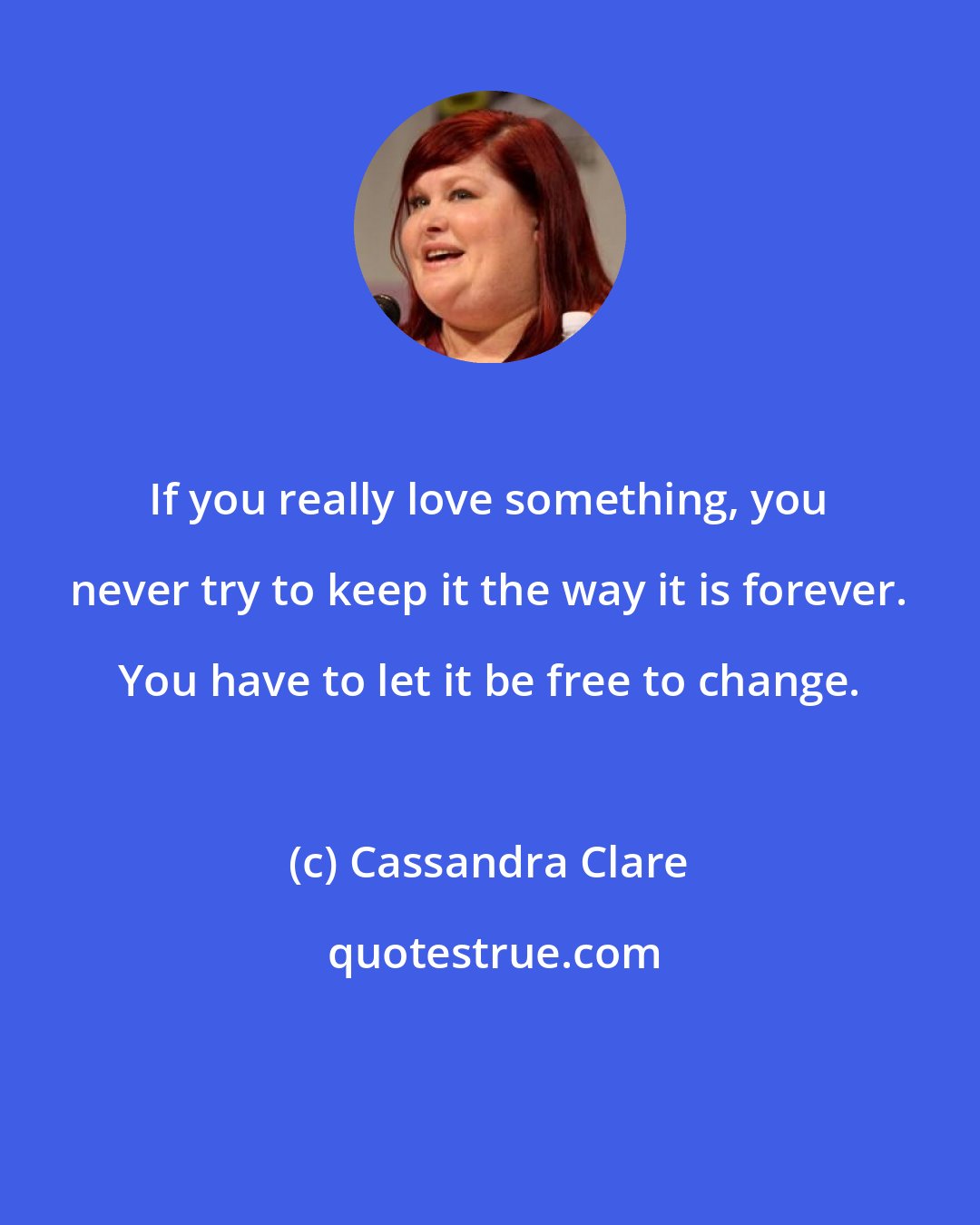 Cassandra Clare: If you really love something, you never try to keep it the way it is forever. You have to let it be free to change.