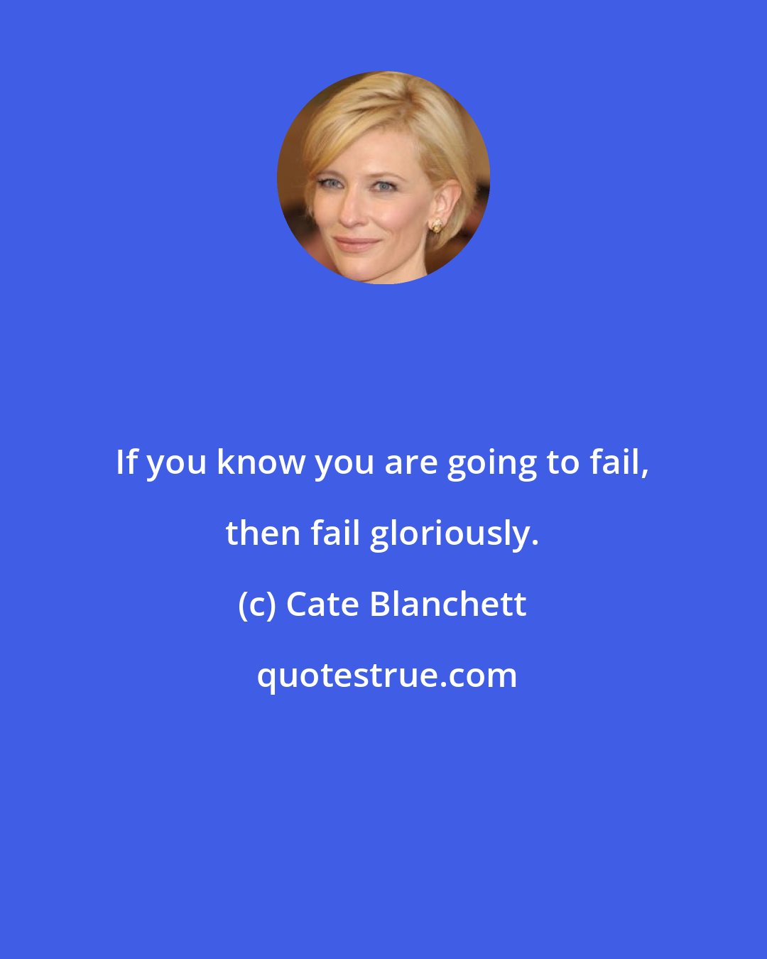 Cate Blanchett: If you know you are going to fail, then fail gloriously.